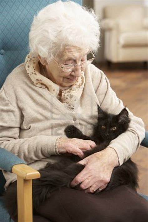 lady with cat